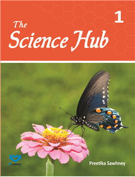 The Science Hub